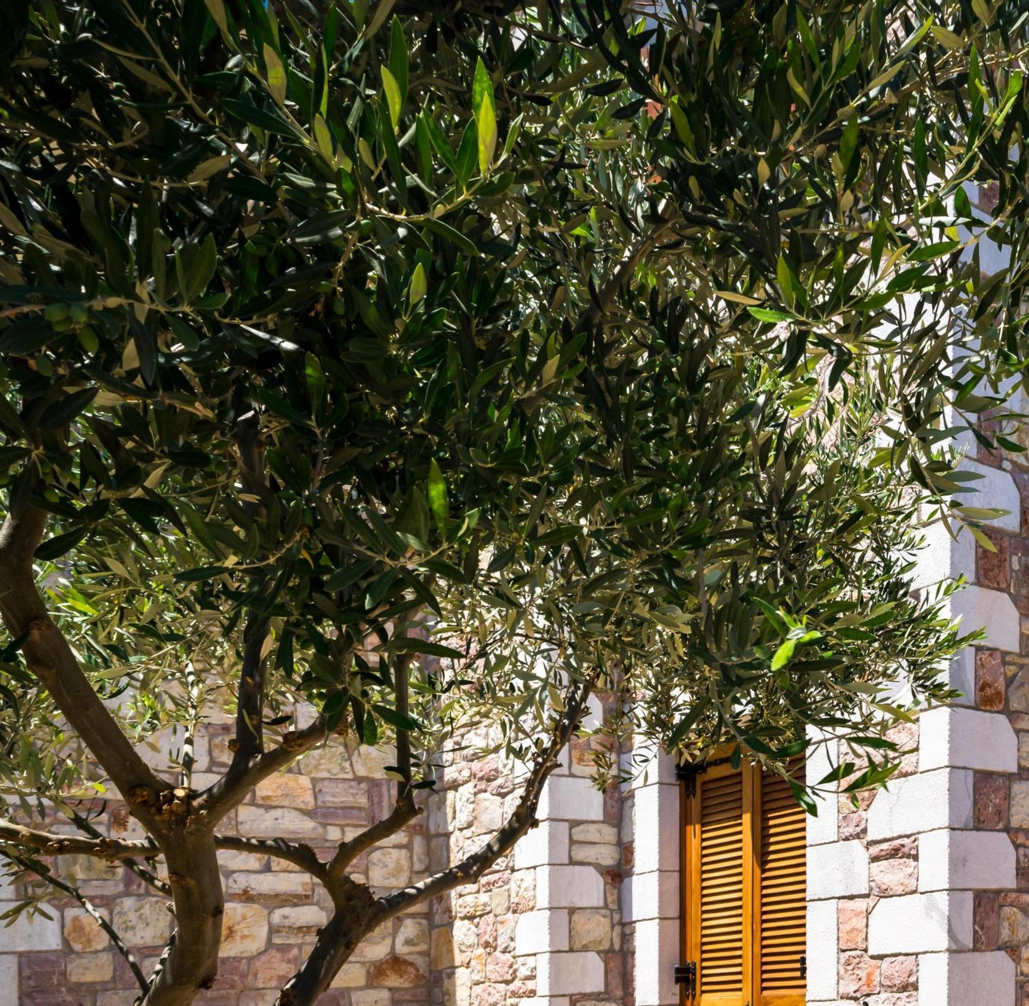 Liokrina Country Living Villas & Suites Koróni Extérieur photo